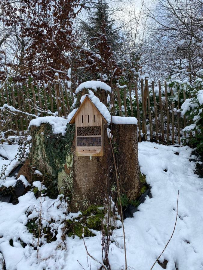 Le Retour Aux Sources - Chambre D'Hote Chaleureuse Et Conviviale Chaudfontaine Luaran gambar
